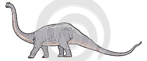 diplodocus dinosaur ancient vector illustration transparent background