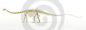 Diplodocus dinosaur full skeleton photo-realistc rendering.