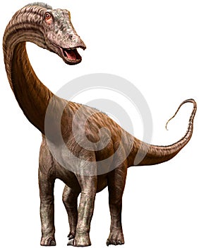 Diplodocus dinosaur from the Jurassic era 3D illustration photo