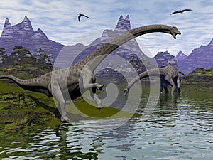 Diplodocus dinosaurs - 3D render