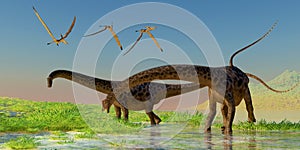 Diplodocus Feeding