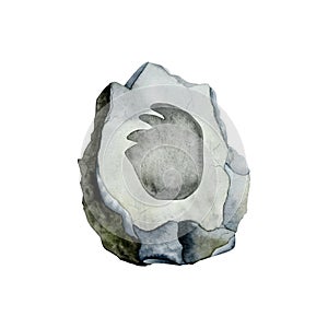 Diplodocus footprint of herbivore dinosaur on gray stone. Watercolor fossil illustration isolated on white background