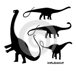 Diplodocus giant plant eaters