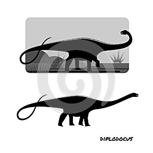 Diplodocus giant plant eaters