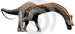 Diplodocus