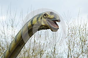 Diplodocus long necked prehistoric reptile