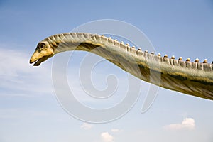 Diplodocus longus neck photo