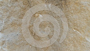 Diplopora Dolomite Rock Layers. Pen for scale.