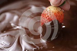 Dipping strawberry into dark premium chocolate