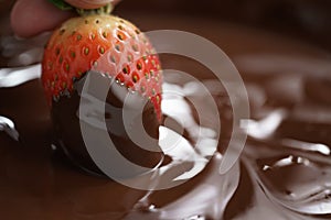 Dipping strawberry into dark premium chocolate