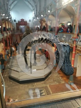 Dippy the Dinosaur 2