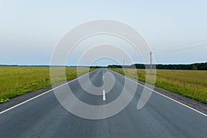 Direct asphalt road in the middle of a wheat field with markings photo
