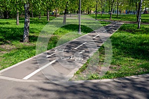 Direct cycleway with pictograms and directional signs in summer park photo