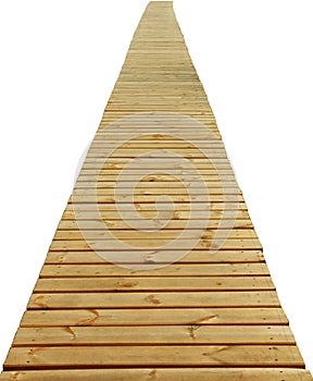 Direct wood path isolated