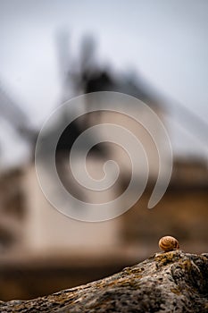 Directed approach. Close-up of a snail with the Windmills of Consuegra in Castilla la Mancha