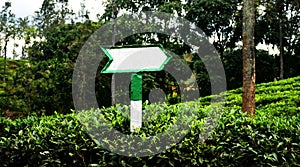 Direction board in tea field