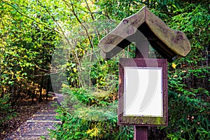 Direction sign in forest