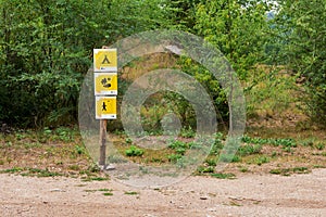 Direction sign on the trail in the forest, where there is a camping, lake, walking path for the tourist