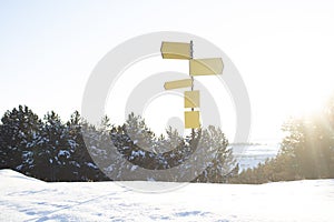 direction signs in a pine forest in winter