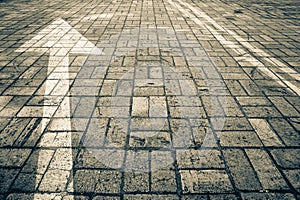 Directional arrow and two continuous lines painted on paved road