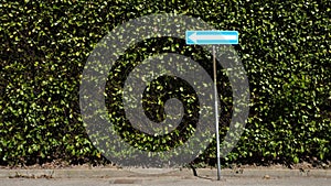Directional Blue Road Sign Against a Lush Green Hedge Background for Navigation Concepts