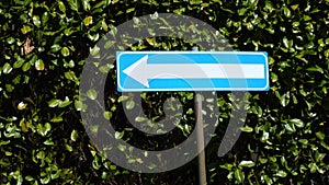 Directional Blue Road Sign Against a Lush Green Hedge Background for Navigation Concepts