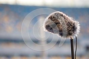 Directional microphone on the football field to record the sound of the match
