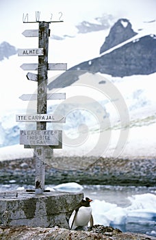 Directional sign and penguin at Chilean Station, Paradise Harbor, Antarctica