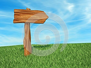 Directional sign wood