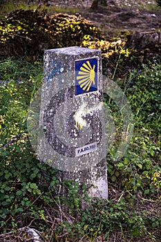 Directional signs on saint james way. Scallop shell and yellow arrow with blue background on a wall. Camino de santiago