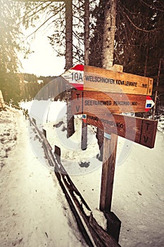 Directional wooden signs. Forest and snow.