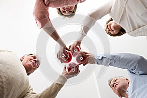 Directly below view of mature friends toasting wineglasses at home