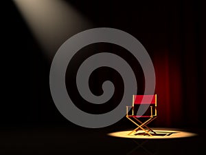Director chair