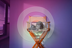 Director\'s chair on colorful background with equipment for recording
