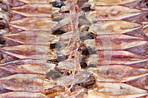Dired squid for cooking in market