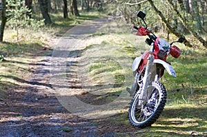 Dirt bike in forest