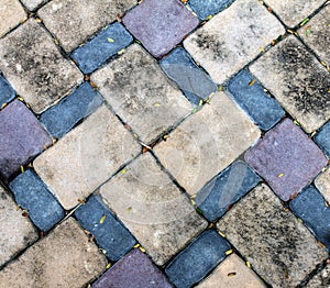 Dirt brick stone block floor have little dried leaf