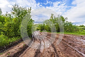 Dirt and clay on a forest road afther rain in Russia