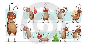 Dirt cockroach. Bad pests interior room bugs dirty insects hygiene exact vector funny characters illustrations