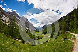 Dirt country road crossing flowery meadows, mountains and forest in scenic alpine landscape and moody sky. Summer adventure and ro