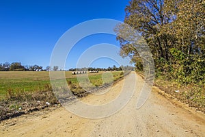 A dirt country road and farm land in rural south Georgia