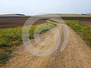 Dirt country road in a green field