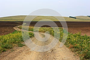 Dirt country road in a green field