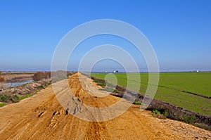 Dirt country road between rice fields. Blue sky without clouds. Isla Mayor, Seville, Spain