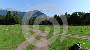 Dirt country road or track in the field, green meadow and trees. Village and countryside