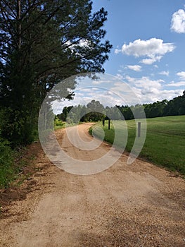 Dirt driveway in country