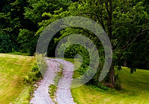 Dirt driveway and tree on a grassy hill