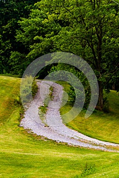 Dirt driveway and tree on a grassy hill