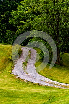 Dirt driveway and tree on a grassy hill