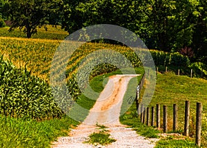 A dirt farm road in rural York County, Pennsylvania.